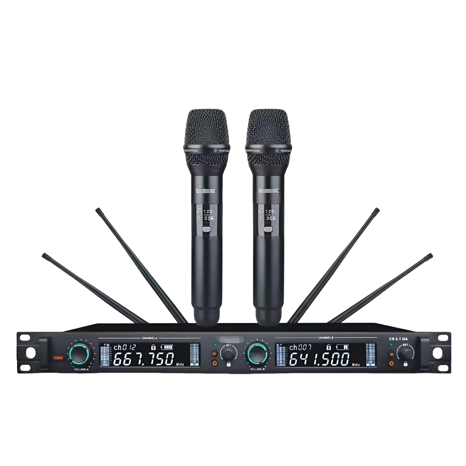 DG-8807 2 Channel True Diversity Wireless Microphone