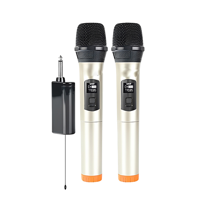 U-W2G One to Two Wireless Microphone