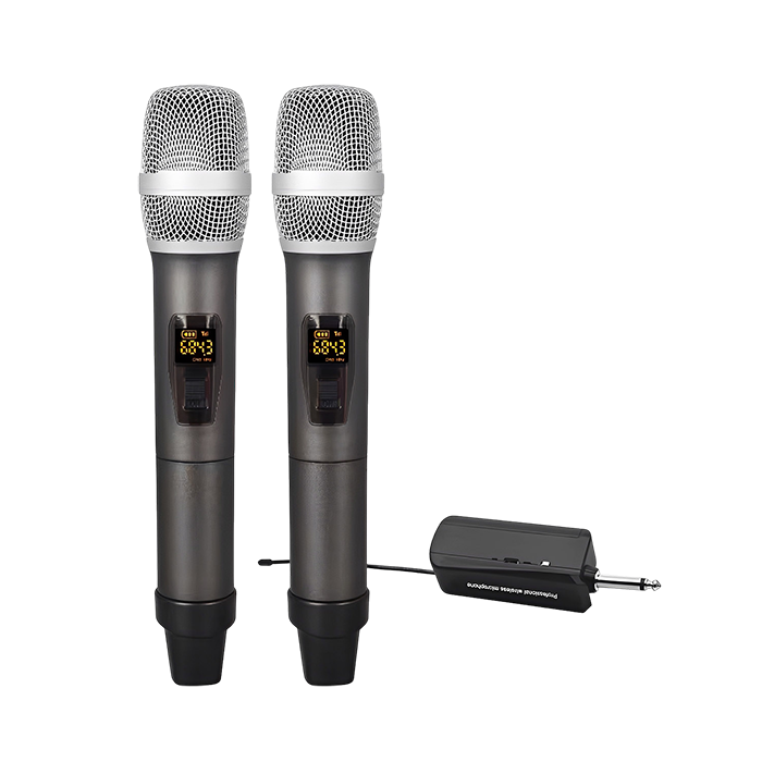 MK202 2 Channels University Wireless Microphone