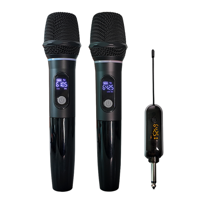 YX-296U 2 Channels Wireless Microphone