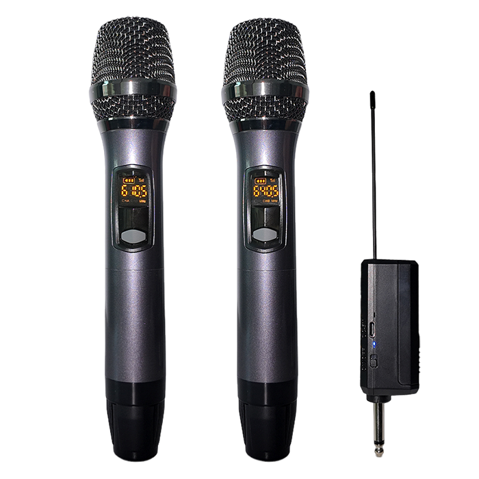 YX-129 2 Channels Wireless Microphone