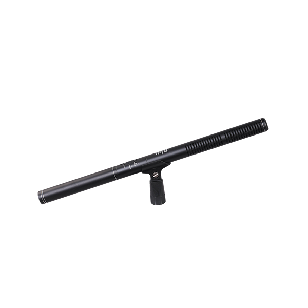 EM-2800 Condenser Double Pickup Interview Mic