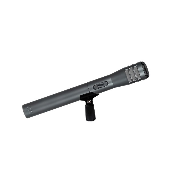 HL-2900 Interview Mic