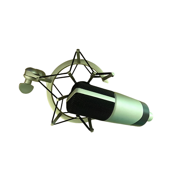 MK4 Large-diaphragm Condenser Microphone