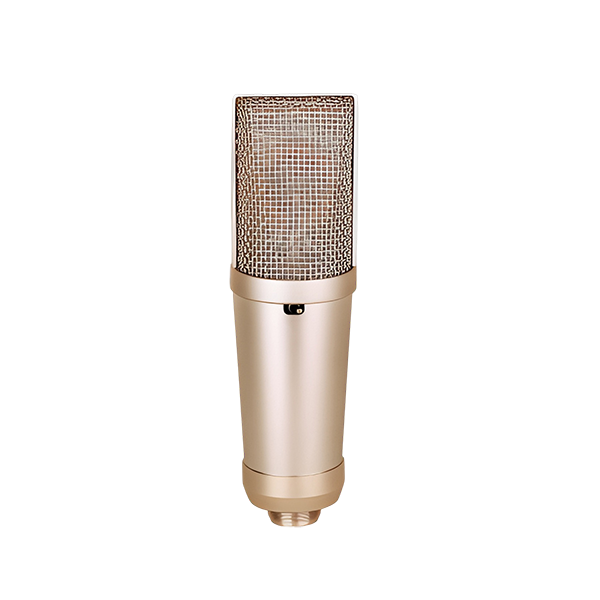 DB-5000 Large Diaphragm Recording Microphone